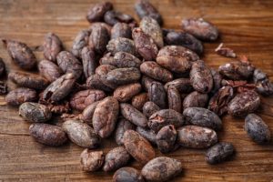 cacao-bean-g65c287ca3_640